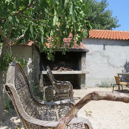 Guesthouse Dila Galovac  Eksteriør bilde