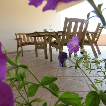 Guesthouse Dila Galovac  Eksteriør bilde