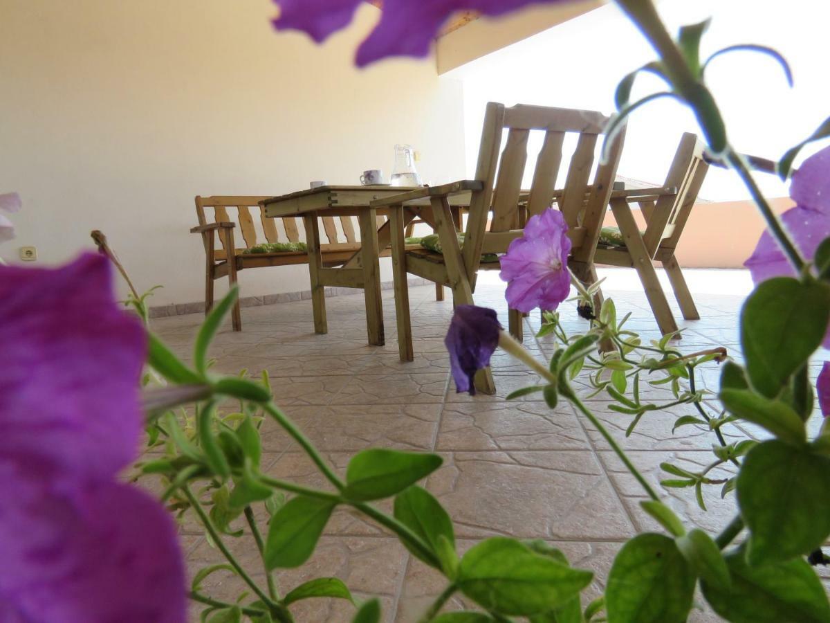 Guesthouse Dila Galovac  Eksteriør bilde